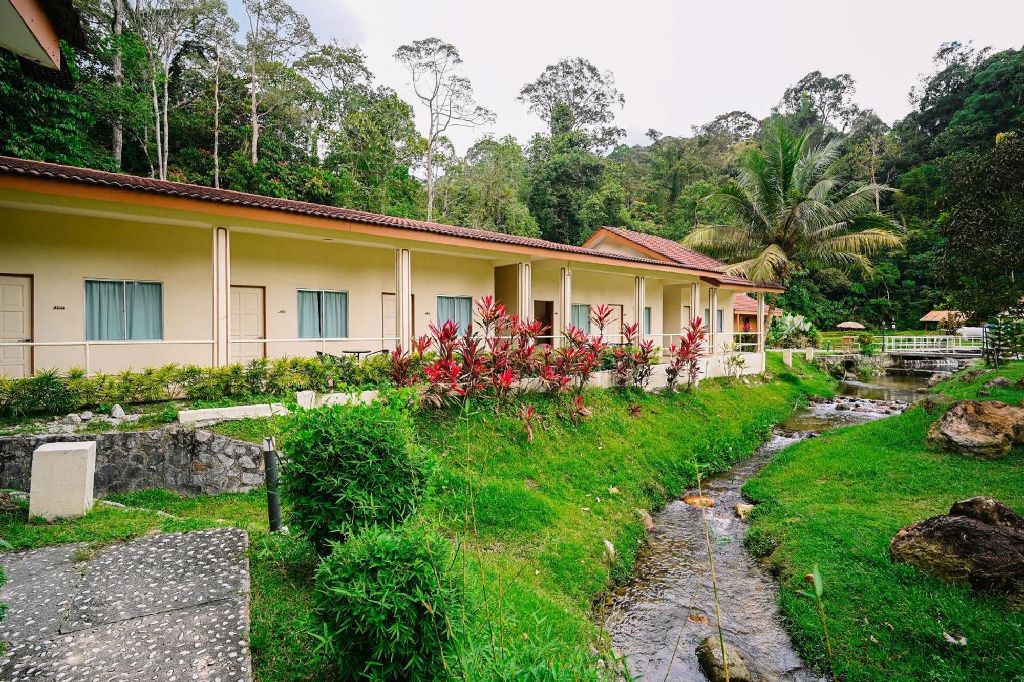 Lilla Rainforest Retreat - Гулу-Ланґат Екстер'єр фото