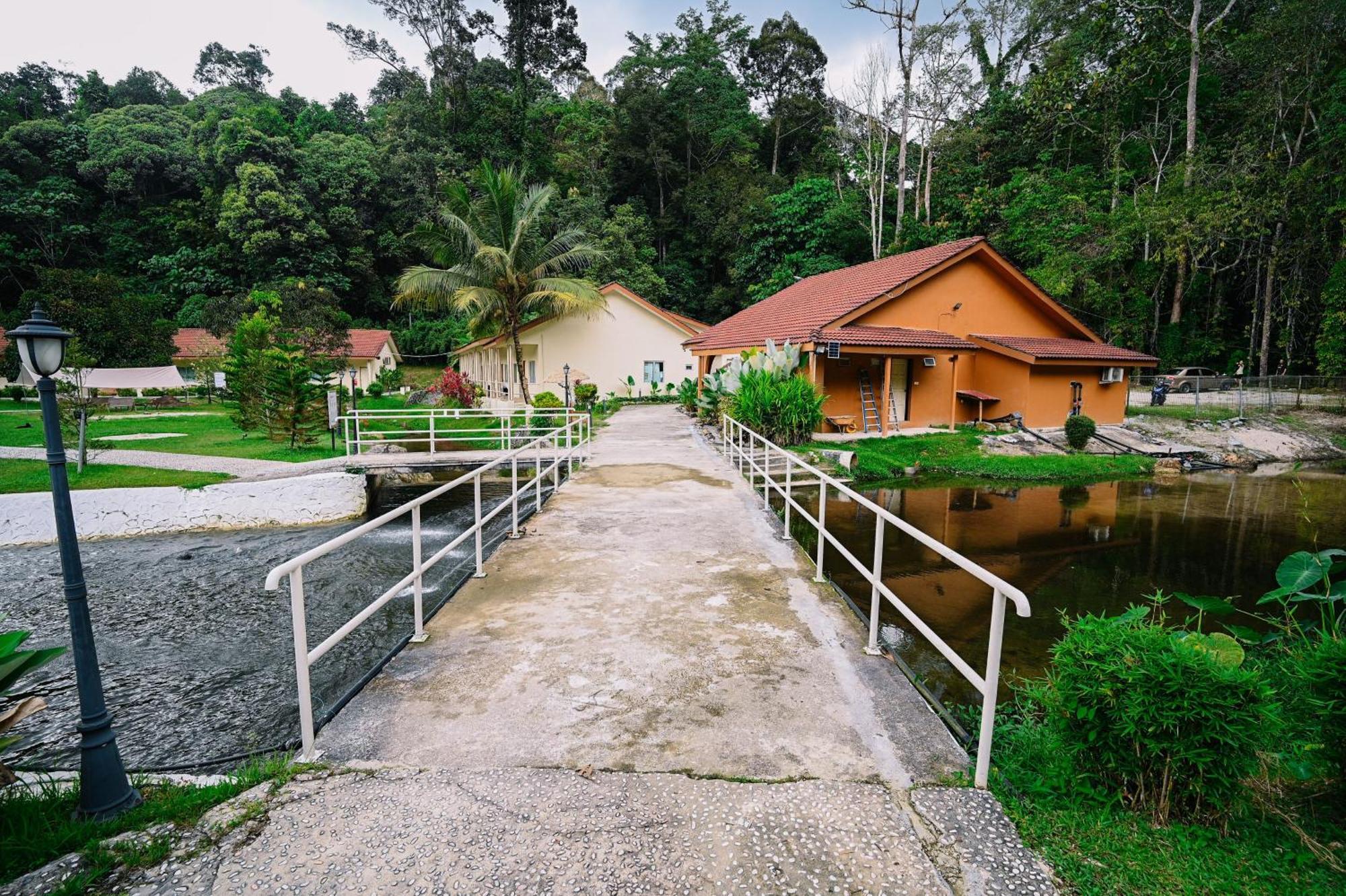 Lilla Rainforest Retreat - Гулу-Ланґат Екстер'єр фото