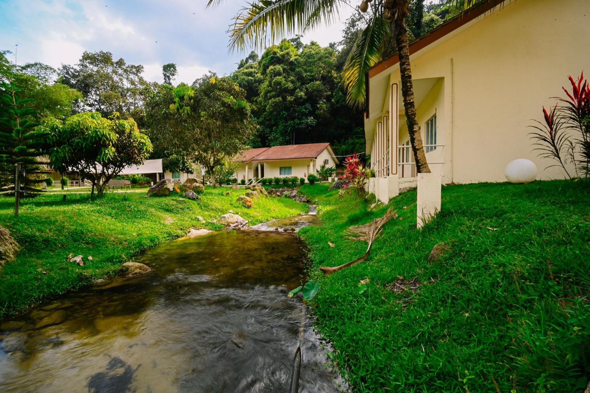 Lilla Rainforest Retreat - Гулу-Ланґат Екстер'єр фото